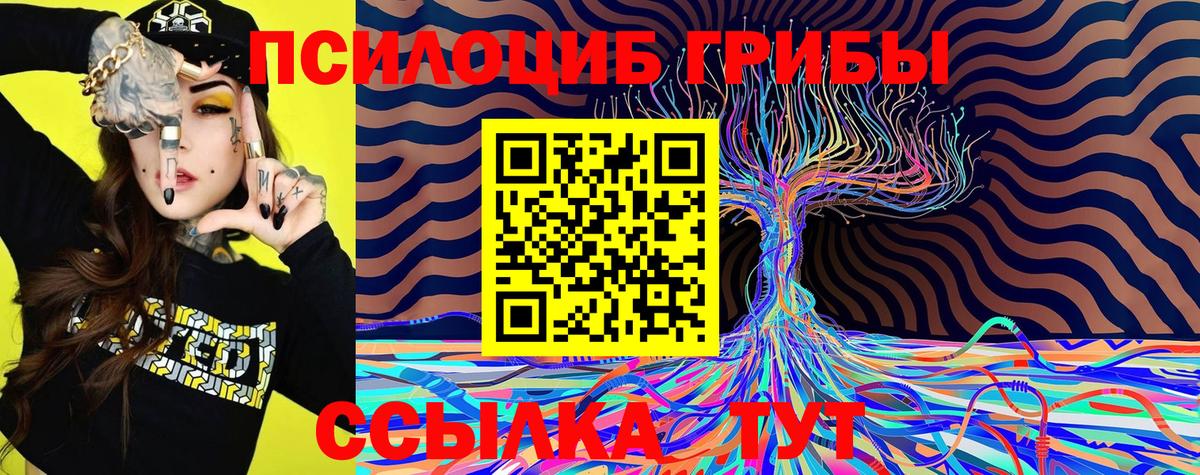 Кунгур  Галлюциногенные грибы ЛСД  Вход с VPN 